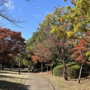 今年のクリスマスソングは