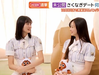 身体を向き直してまで聞く遠藤さくらちゃんのトップオタｗ【乃木坂46】
