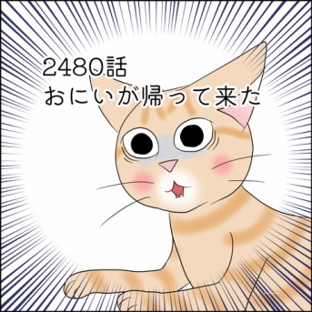 あんこ＆麦2480 おにいが帰って来た