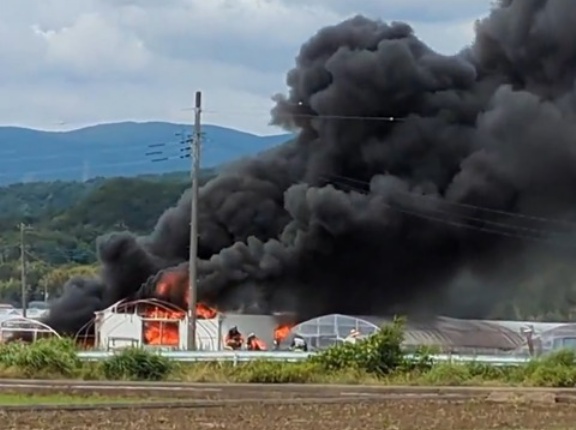 【火事情報】静岡県伊豆の国市奈古谷付近 ビニールハウスから黒煙あがる火災6月11日 #静岡 #伊豆の国 #火災