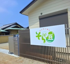 からだごはん　そら豆　香川県丸亀市