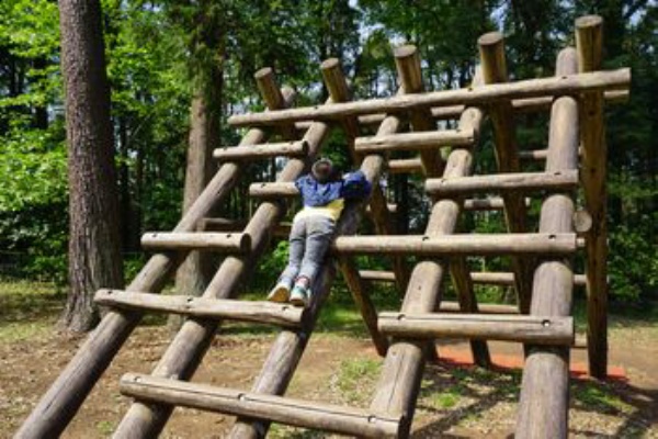 かまくら日記 鎌倉 北鎌倉 大船 ブログ 公園