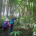 山行報告   安 蔵 寺 山 登 山（島根県）