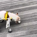 穏やかな１日