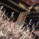 嵐電に乗って北野天満宮へ