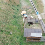 平成元年デビュー2