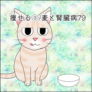 あんこと麦と