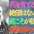 庭はロイター板 (今日はちょこっと怪しい話・・・)