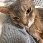 午前中をダラダラ過ごした日