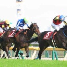 競馬予想結果2026:マイラーズC(G2)&フローラS(G2)