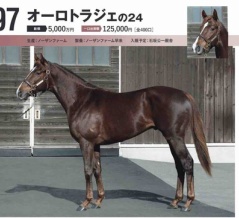 【キャロット】勝手に追加募集馬見解 その4 オーロトラジェの24