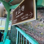 atelier_aimu  100year's bear ☆pi