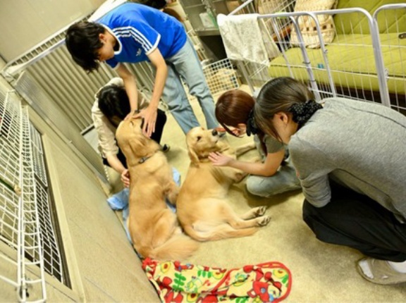 今日も青山学院大学のボランティア部の皆さんが💓