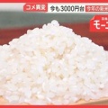 【政府は農家支援を】新米価格「たぶん暴落」と農家
