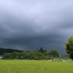 温泉めだかのブログ