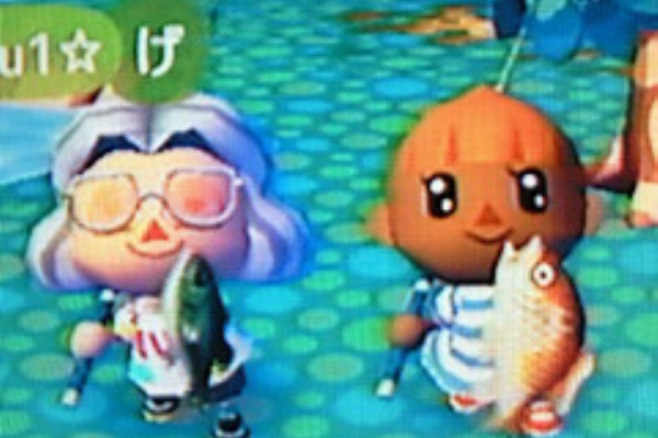 タマシギ♀のイケイケ日記 - 街へ行こうよどうぶつの森