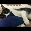 ごめんね、ころちゃん