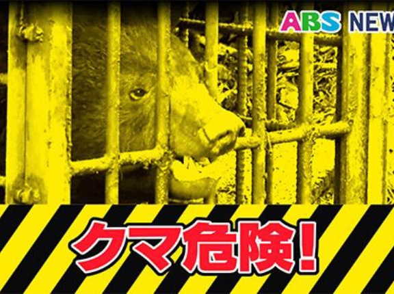 【秋田】小屋で飼育のラブラドールが死んでいるのが見つかる　クマに襲われたか