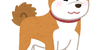 私はゴンとおばちゃんの遺産をわざわざ飛行機使ってまで頻繁に狙いに来ていた金の亡者から護れて誇らしかったよ