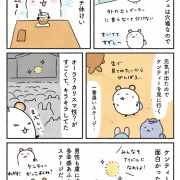 サマソニ大阪2026に行ったレポ