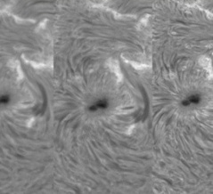 太陽Hα画像でシーイングを評価する