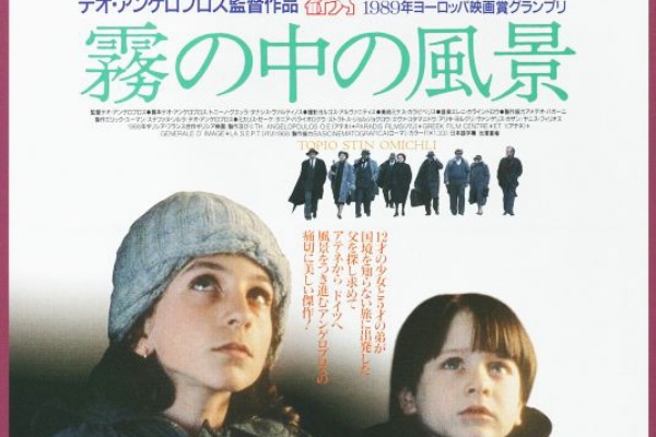 映画のチラシ整理中 19年