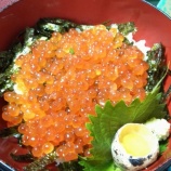 『うに丼をめざしロングライド宗像へ』の画像