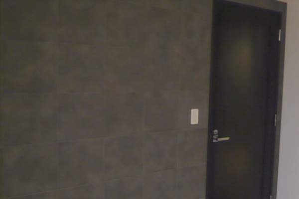 須賀が徹 我流エコカラットマニュアル ニュージュラク