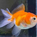 かねだい足立店ブログ