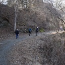 浅川バス停から扇山へ　-大田峠見つからず大迂回-