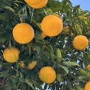 暖かい中、テニスに電車で行く♪