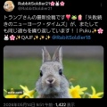 トランプ大統領のTruth Social 投稿集 ~ 2026 5/11-12