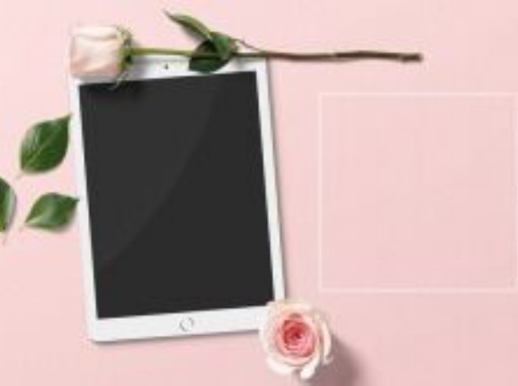 【40％OFF】「冬電書2026 星海社オススメ作品一気読みフェア」開催中です！