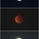 彩華のお気楽ブログ