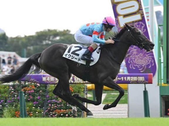 【朗報】イクイ全妹イクシード帰厩