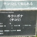 現在の状況260604