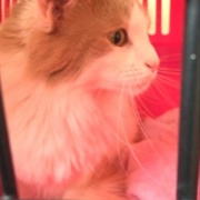 ケイとメルシーの体重測定