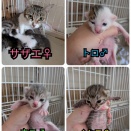 贅沢海シリーズ🎉