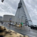 【どこかにビュー－ン！】新青森へ日帰り女ひとり旅