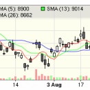 フクフク星人氏、新規買い「フェローテック（6890）」、節成績+8.71%