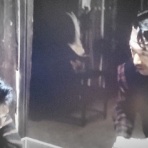 本物の無垢木材　～茨木市戸田材木店・セルバの木の虫ブログ～