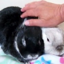 ささやかでかけがえのない