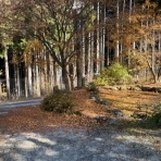 田舎暮らし日記　＜山梨県＞