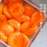 初挑戦！杏のシロップ煮を作ってみた