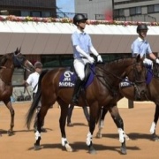 初心者マークの誘導馬バビットに会ってきました
