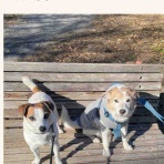 アボちゃんのアボカドブログ