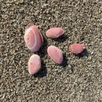 ねことのくらし