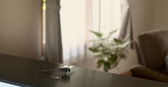 自分で買っておきながら、一瞬、驚いてしまうブローチ