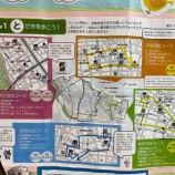 �غ�ǯ12��Ĳ�ǡ�����λ��⥳�������̱���󼨤��뤳�Ȥ���Ƥ��ޤ����������줬�¸����ޤ������٤β���