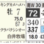 ハイブリッド競馬新聞